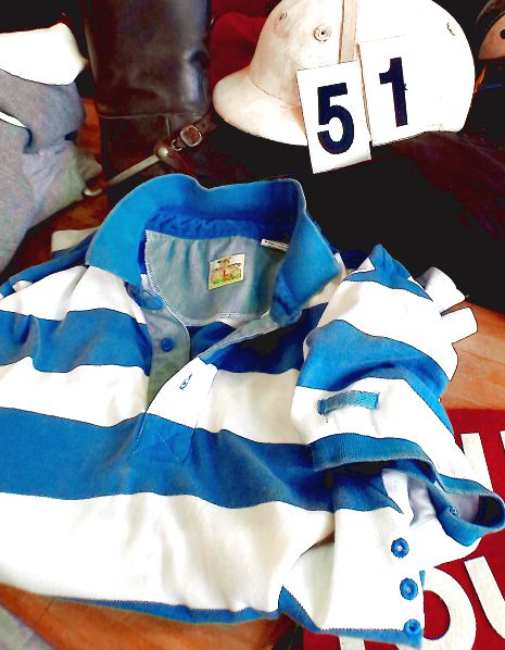 Blue and White Stripped Polo