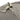 100% Cotton Stone Washed Polo by TDalton Clothing